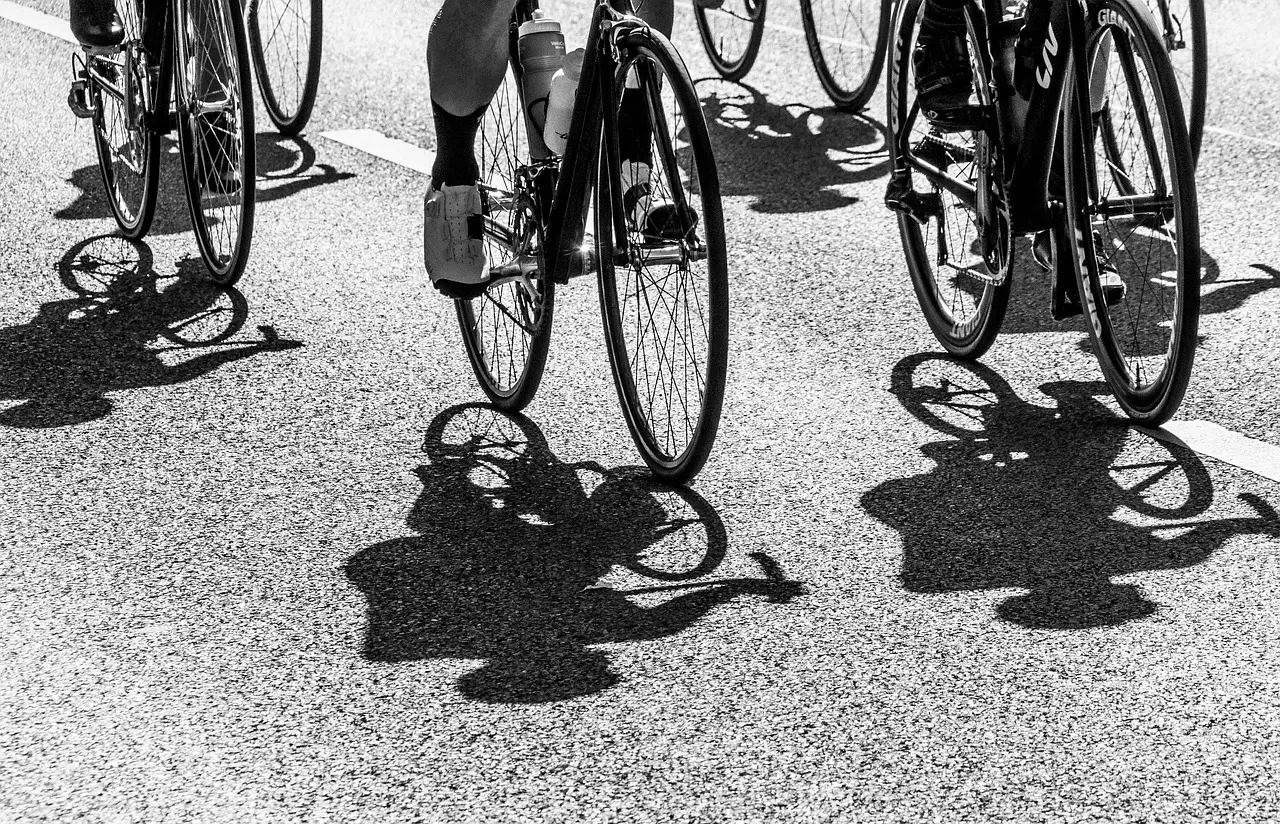 Cykler og cykelryttere med skygger på vejen