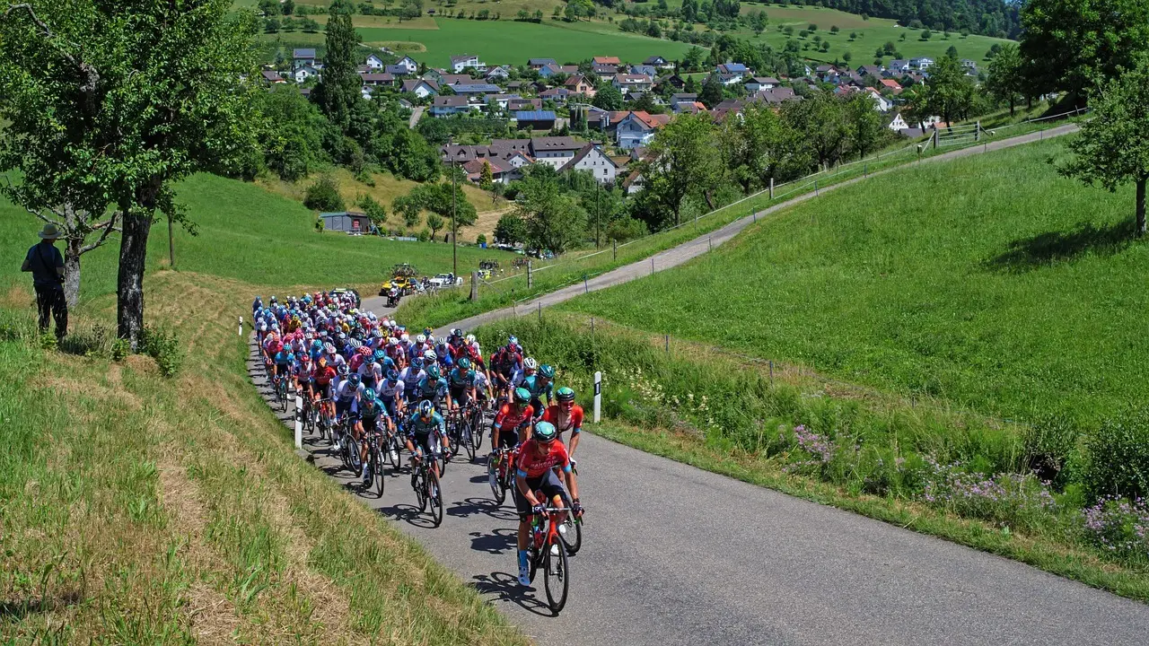 Peloton af cykelryttere på landevej gennem grønt bakket landskab
