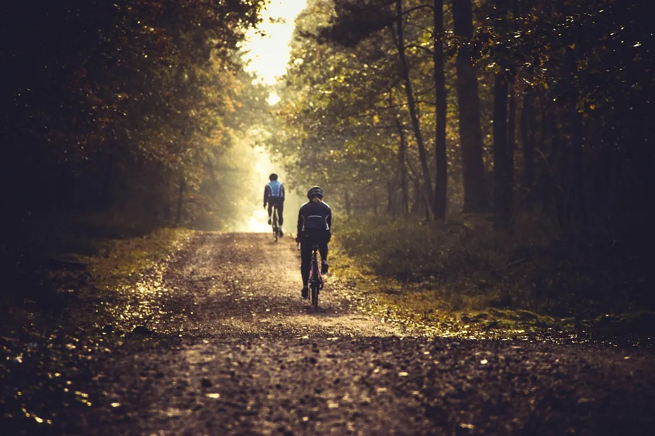 To cyklister på en skovsti i modlys
